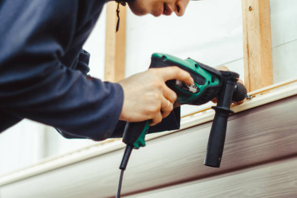 Best Vinyl Siding Installation  in Beaverton, MI